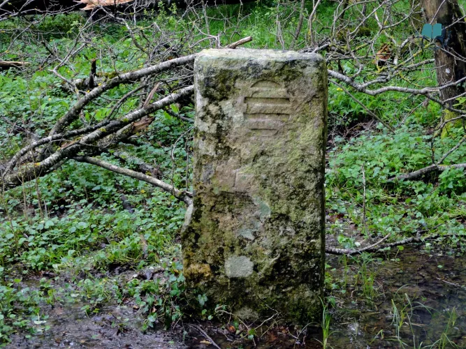 Face 2 Maizières