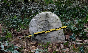 Bornes parcelles
